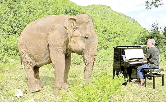 
    „Nu vă supăraţi, vreau să fac o dedicaţie! Se poate?”foto: profimedia  