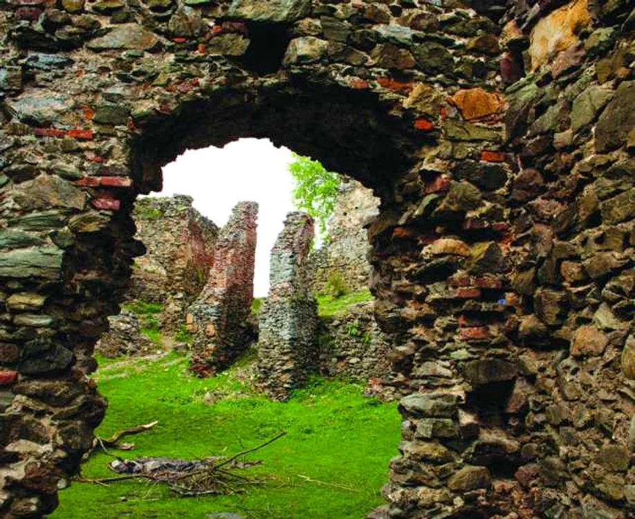 cetatea soimos