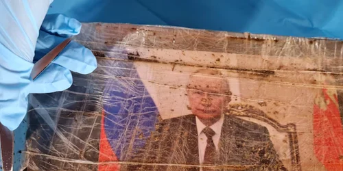 nsw police droguri putin png