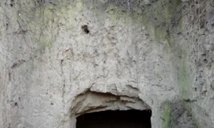 tamasidava cetatea dacica jpg