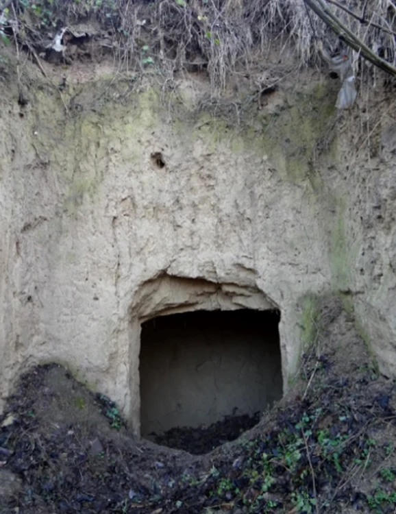 Tamasidava este cea mai mare cetate geto-dacică la est de Carpați