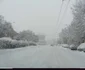 Zăpadă în Timişoara