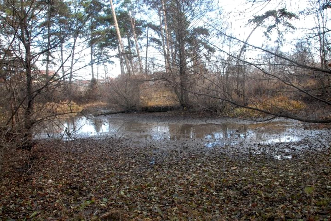 Rezervatie naturală în pericol