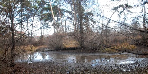 Rezervatie naturală în pericol