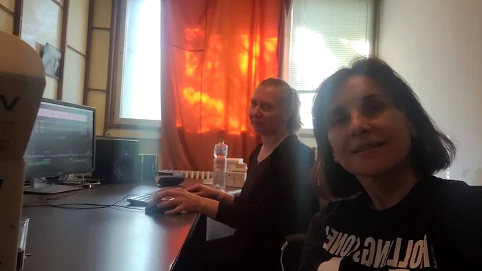 Care pe care culise, la montaj jpg