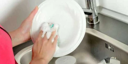 Bureţii de vase sunt printre cele mai murdare lucruri din casă