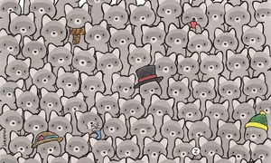 find hidden cat picture puzzle 1763464335743 jpg