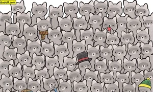 find hidden cat picture puzzle 1763464335743 jpg