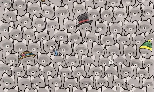 find hidden cat picture puzzle 1763464335743 jpg