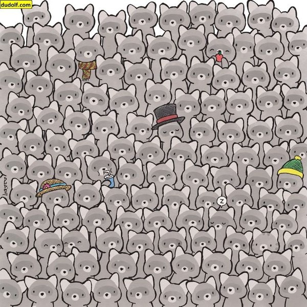 Iluzia optică surprinzătoare care îți testează inteligența. Poți să descoperi pisica ascunsă printre ratoni în doar 15 secunde?