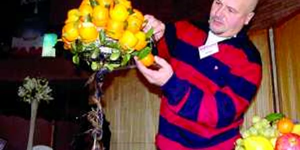 Nelu Matei transformă fructele în artă