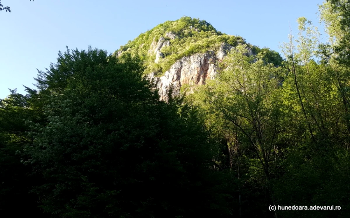 cetatea dacica piatra rosie foro
