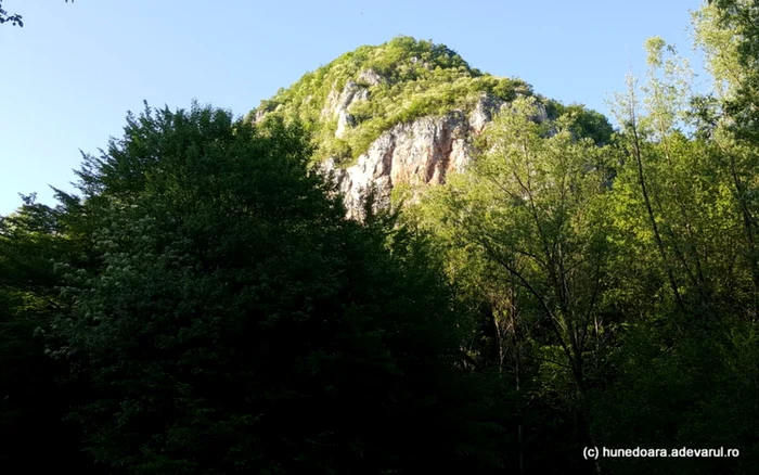 cetatea dacica piatra rosie foro 