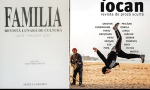 Proza scurtă înseamnă    jpeg