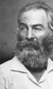 walt whitman captura video jpg