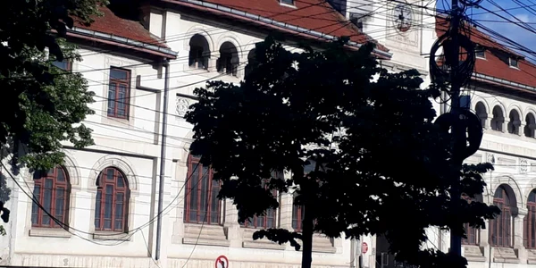 cablu