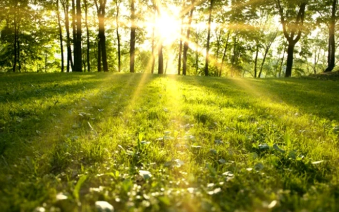 La munte, vremea va fi frumoasă în prima parte a weekendului, iar spre sfârșit cerul se va înnora și vor cădea precipitațiifoto: Click!