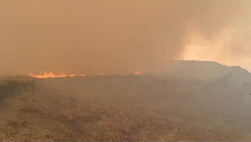 Incendiu uriaș, pe dealurile Istriței, stins după 20 de ore de pompierii buzoieni VIDEO