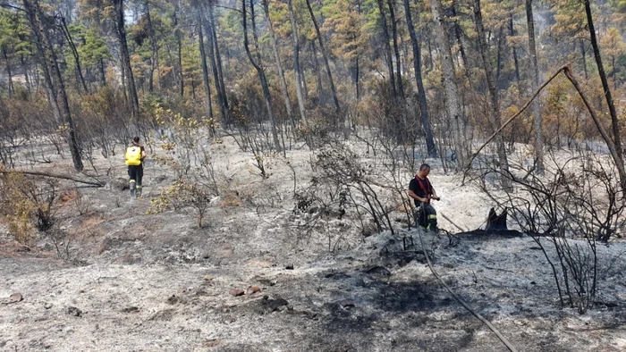 Pompierii argeşeni  aflaţi în luptă cu incendiile din Grecia, încurajaţi de acasă: 