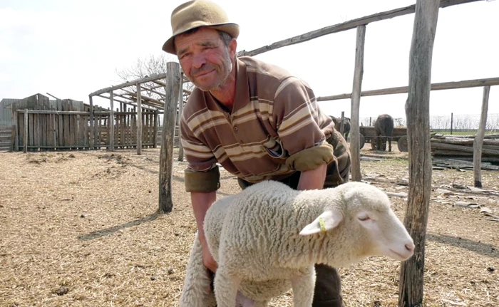 carnea de miel, prea scumpă pentru buzunarele românilor. Sursa foto: arhivă