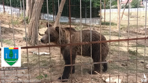 Animale ținute în cuști, în condiții necorespunzătoare FOTO: Facebook / Garda Națională de Mediu