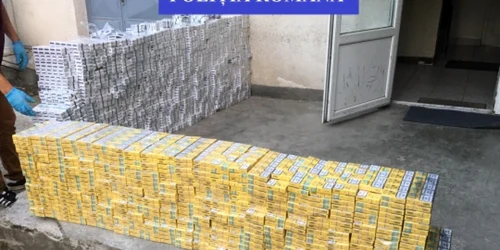 Ţigări de contrabandă confiscate la Satu Mare FOTO Poliţia de Frontieră