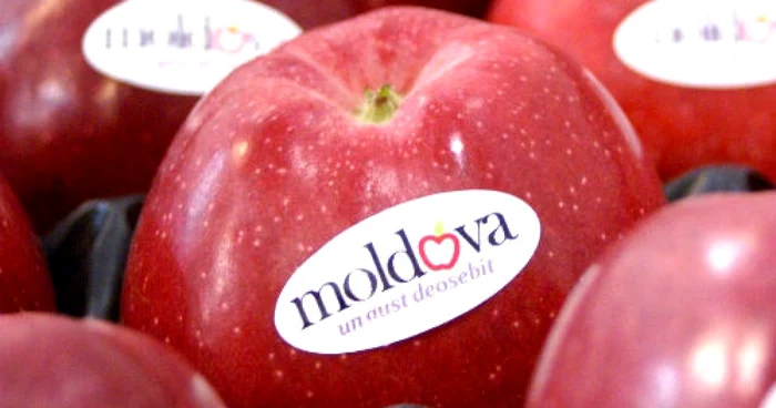 Fructele şi legumele noastre au brand şi logo FOTO Info-prim.md