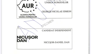 buletin de vot fata jpeg