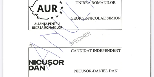 buletin de vot fata jpeg