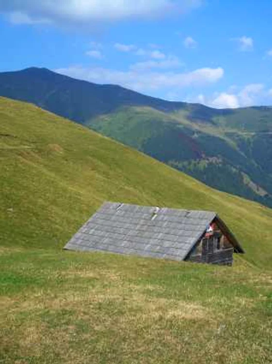 Valea Vinului