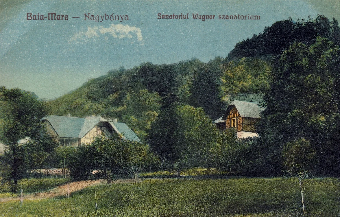 Sanatoriul Wagner, 1926, carte poștală ilustrată FOTO Colecția MJIA