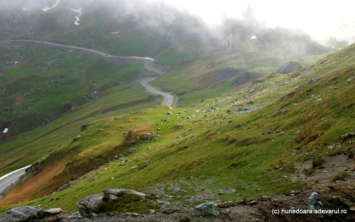 Peisaj montan de pe Transalpina. Foto: Daniel Guță