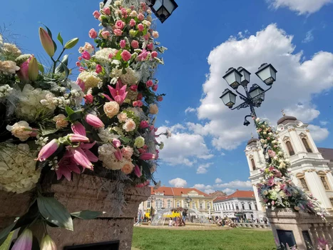 Timișoara, orașul florilor FOTO Ștefan Both