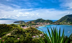 guadelupa shutterstock 2136226577 jpg