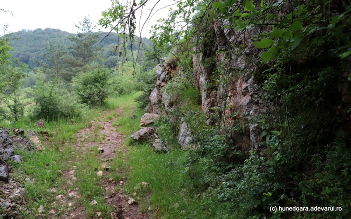 cioclovina hunedoara adevarul foto daniel guta 