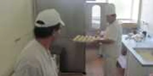 spital slobozia paine 5