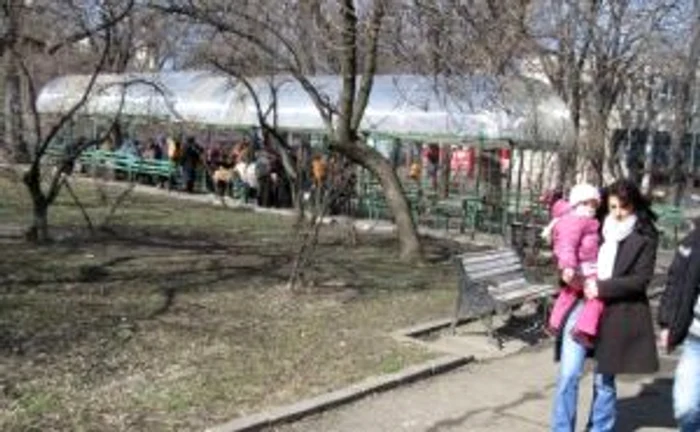 În scurt timp, focşănenii vor avea unde să se plimbe