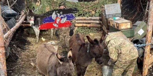 magari front jpg