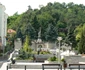 Vâlcea