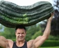 legume gigantice FOTO Der Spiegel