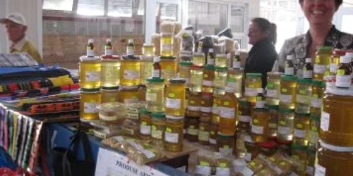 Bacau: Apicultorii, prosperi şi pe timp de criză