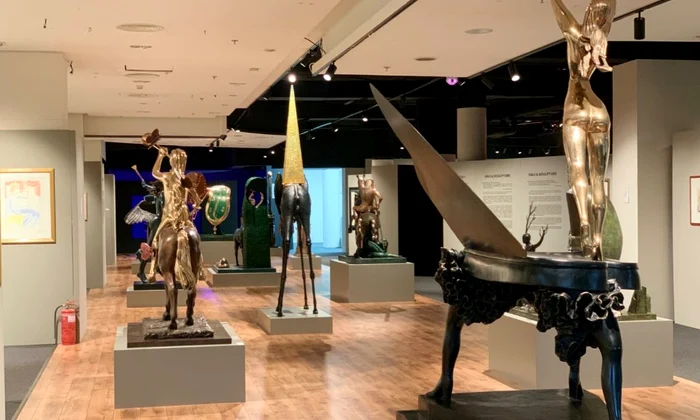 Expo Universul lui Salvador Dali 1 1024x768 jpg