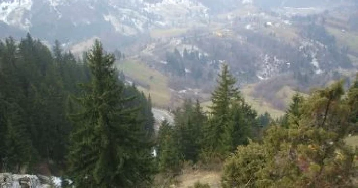 Piteşti: UPDATE: Cei trei alpinişti rătăciţi în Munţii Făgăraşi au fost găsiţi