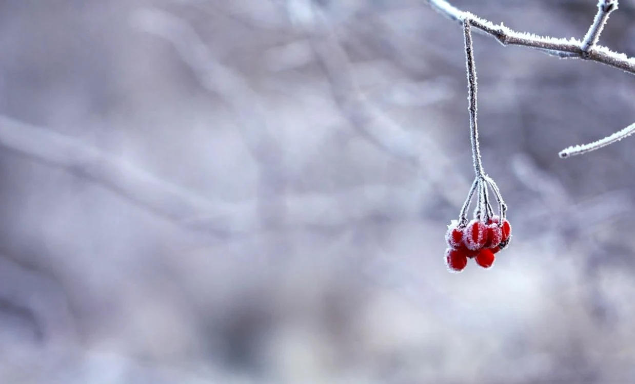 Mâine trecem la ora de iarnă, dar în termometre vom avea peste 20 de grade Celsius