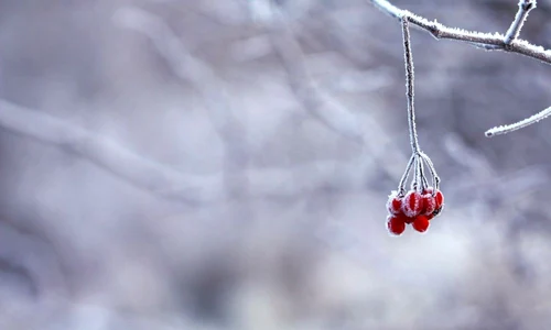 Mâine trecem la ora de iarnă, dar în termometre vom avea peste 20 de grade Celsius jpeg