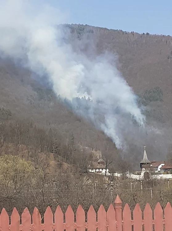 incendiu apuseni