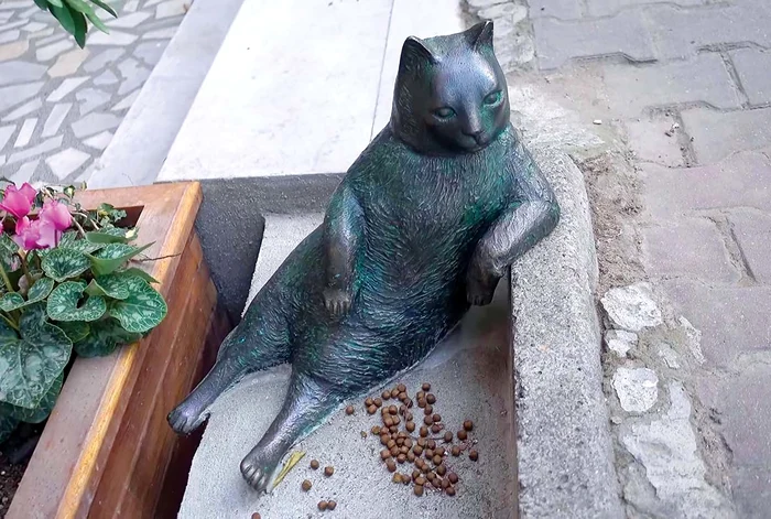 A fost imortalizat  ca într-o poză a  sa devenită celebră