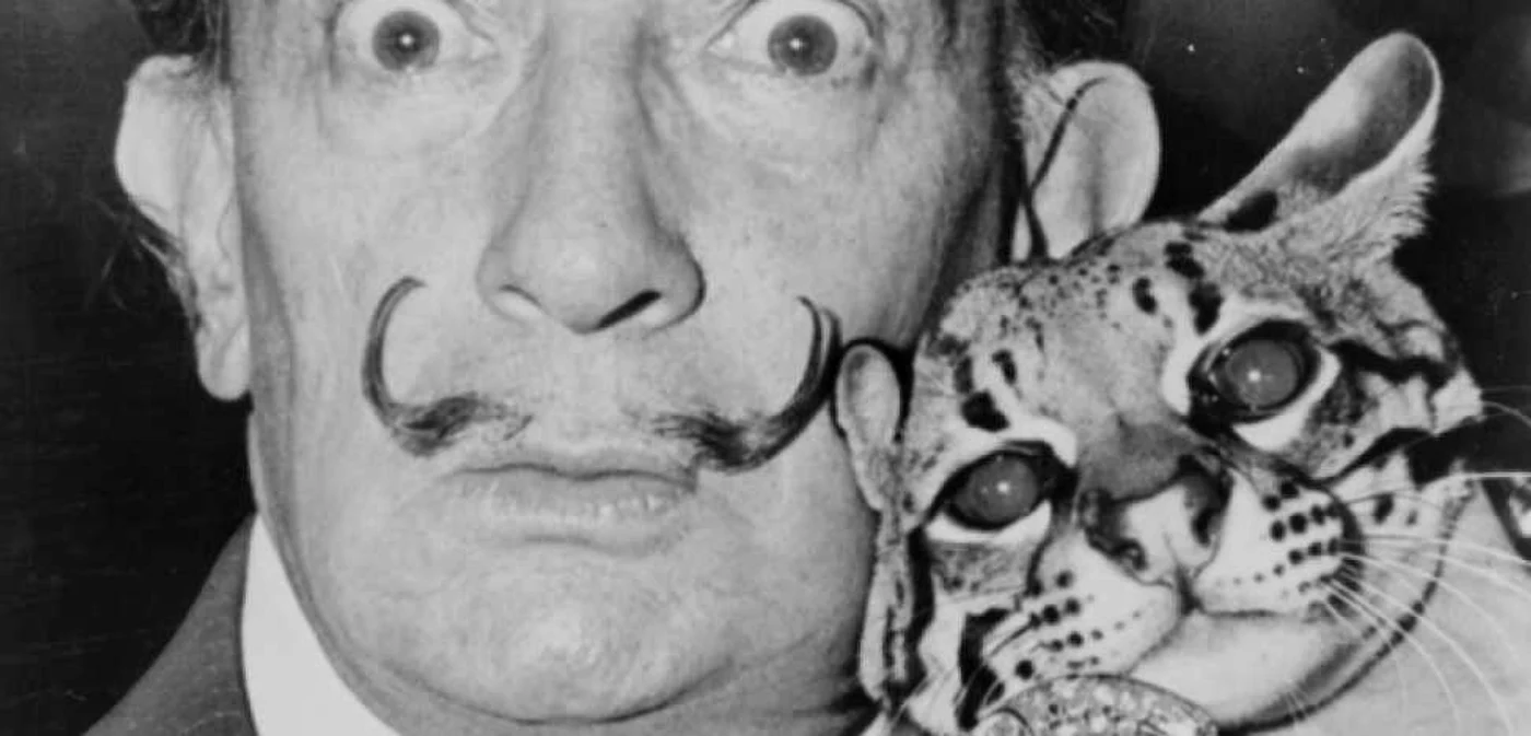 salvador dali