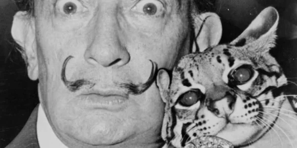 salvador dali