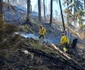 Incendiu de vegetație Foto ISU Bihor (1) jpg